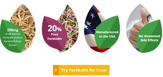 buy forskolin fit pro