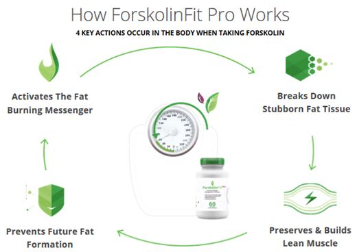 forskolin fit pro free trial